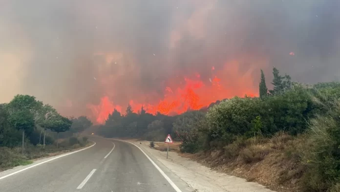 canakkale-de-ormanlara-giris-yasagi-uzatildi