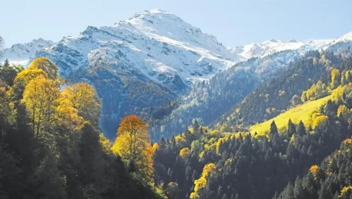 yayla-gocu-guz-cigdemleri-ve-mevsimlik-hazirliklar