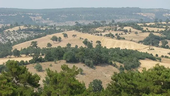 granikos-savasi-alani-bulundu-iskender-in-rotasi-belirlendi