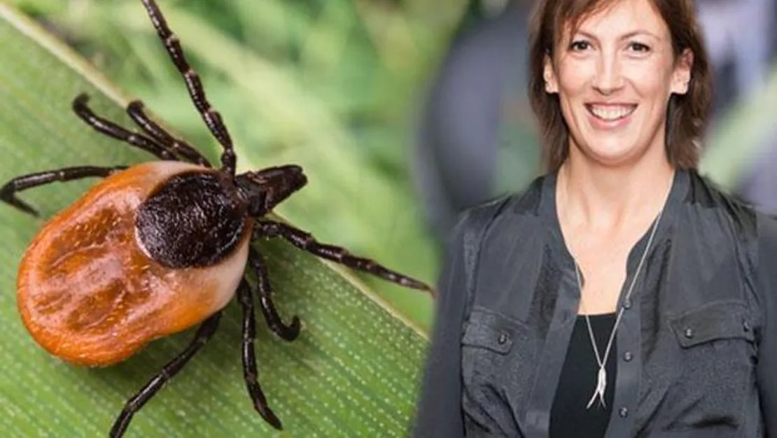 miranda-hart-a-30-yil-sonra-lyme-teshisi