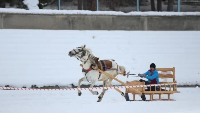 erzurum-da-geleneksel-atli-kizak-yarisi-yapildi